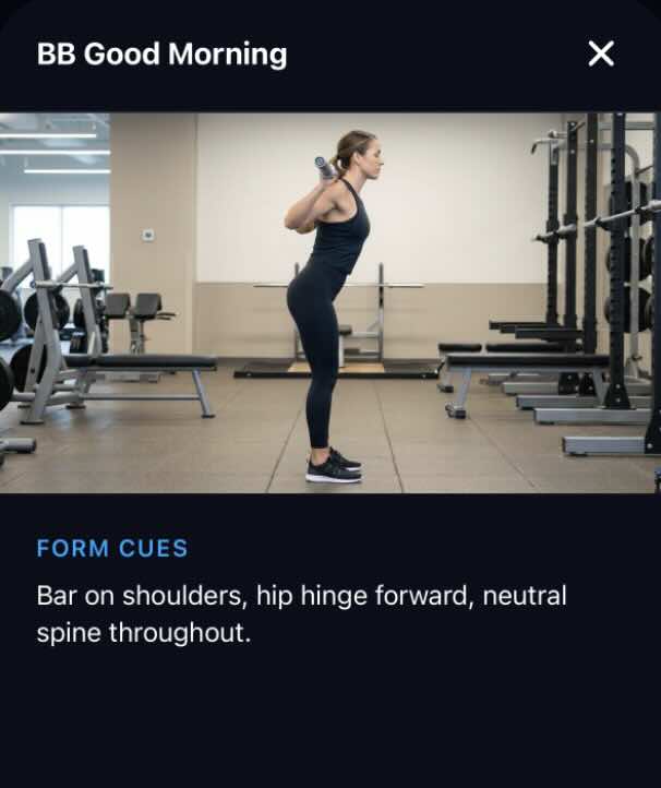 FinnFitness form demo modal showing exercise technique